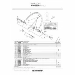 1 Corps De Roue Libre SHIMANO Y49398060 WH-6800-R Ultegra Complete Freewheel Body 5 1 Corps De Roue Libre SHIMANO Y49398060 WH-6800-R Ultegra Complete Freewheel Body -PERIPHERIQUES Soldes Magasin 1 corps de roue libre shimano y49398060 wh 6800 r ultegra complete freewheel body 2